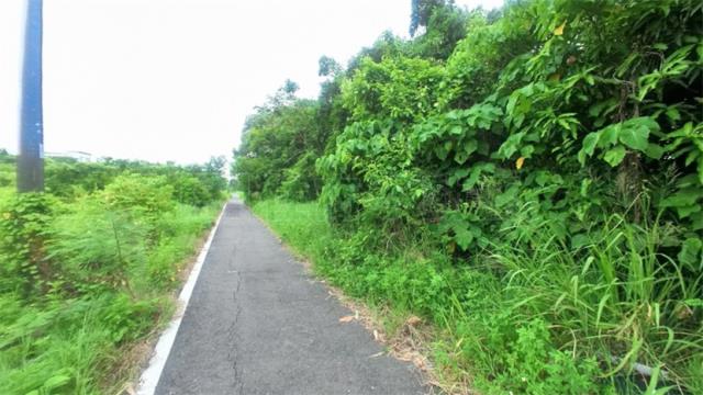 高雄阿蓮農地-3