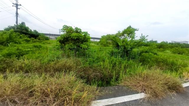 高雄阿蓮農地-6