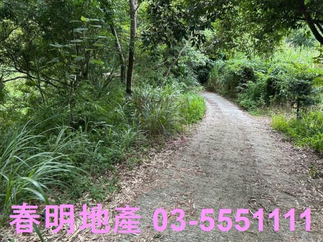 新竹峨眉農地_山坡地_林地-10