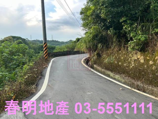 新竹峨眉農地_山坡地_林地-11