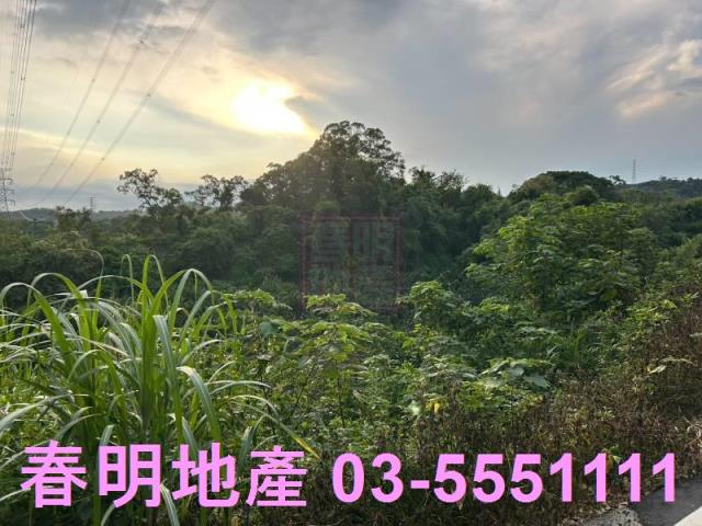 新竹峨眉農地_山坡地_林地-12
