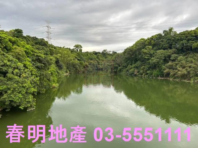 新竹峨眉農地_山坡地_林地-14