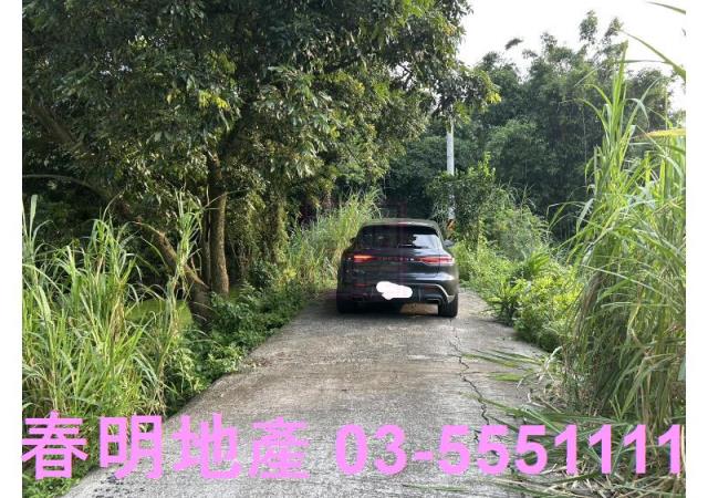 新竹峨眉農地_山坡地_林地-15