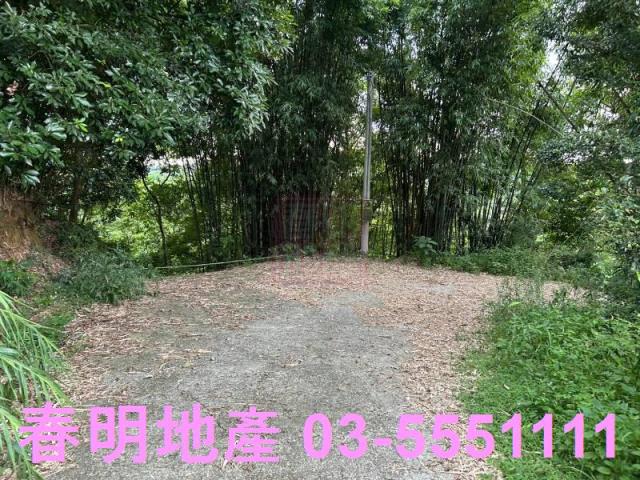 新竹峨眉農地_山坡地_林地-1