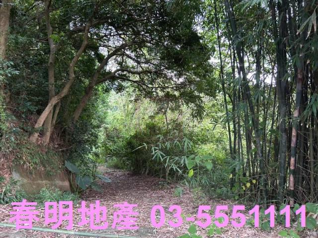 新竹峨眉農地_山坡地_林地-2