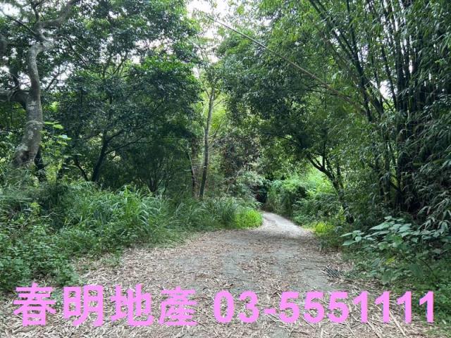 新竹峨眉農地_山坡地_林地-3
