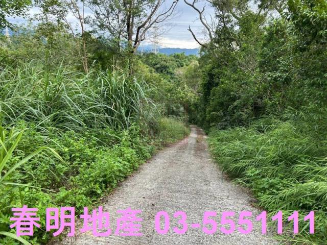 新竹峨眉農地_山坡地_林地-4