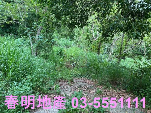 新竹峨眉農地_山坡地_林地-5