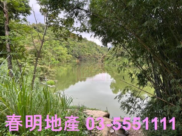 新竹峨眉農地_山坡地_林地-6