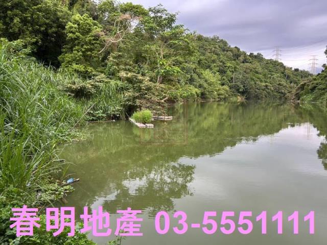 新竹峨眉農地_山坡地_林地-7