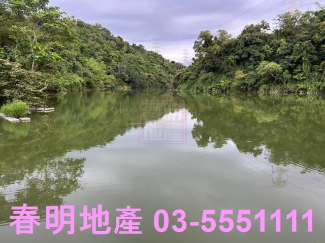 新竹峨眉農地_山坡地_林地-8