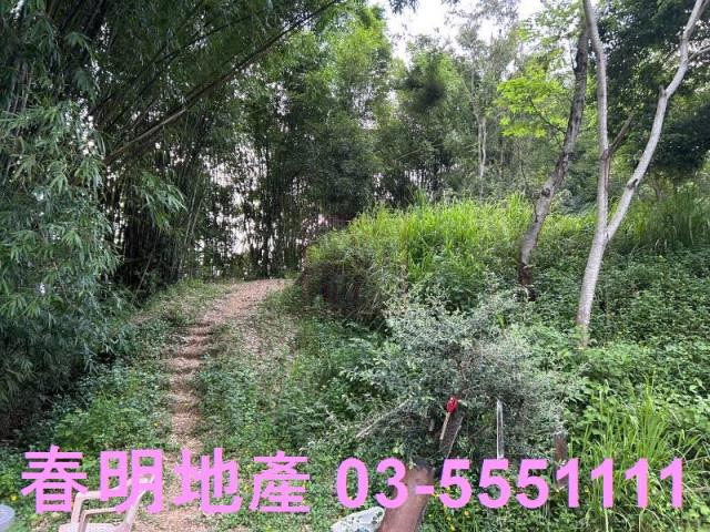 新竹峨眉農地_山坡地_林地-9
