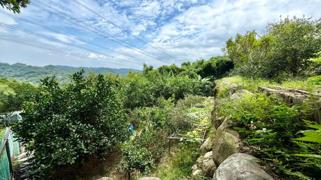北埔農地_山坡地_休閒地-15