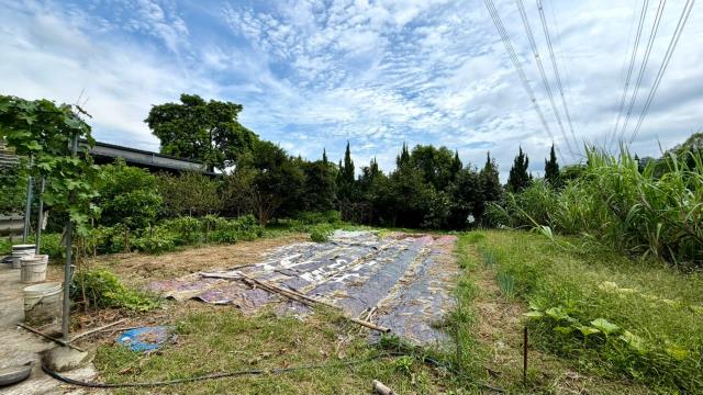 北埔農地_山坡地_休閒地-3
