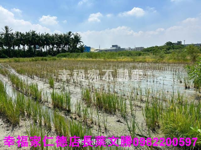 仁德農地-7
