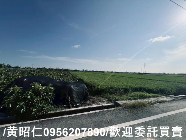 台南農地-6