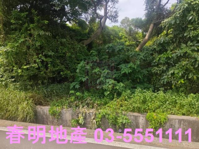 新竹竹東農地-4