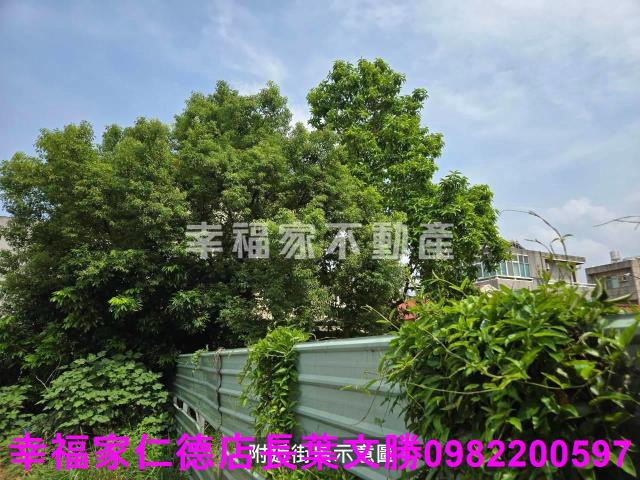 台南仁德建地_道路地-2
