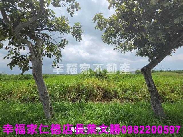 台南七股農地_道路地-9