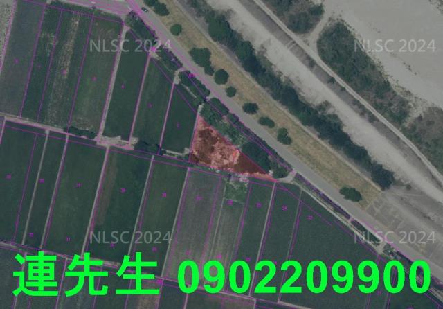 台中大甲法拍農地_休閒地-5