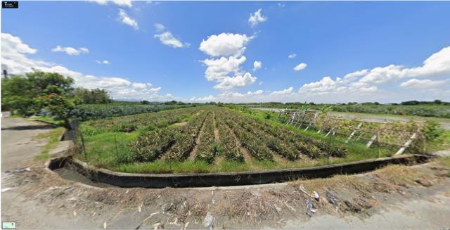 斗六法拍斗六農地斗六土地
