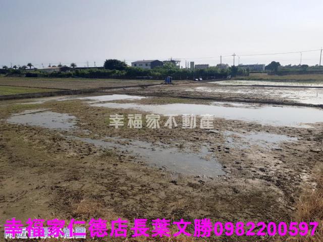 台南農地-1