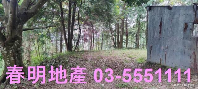 新竹林地-9