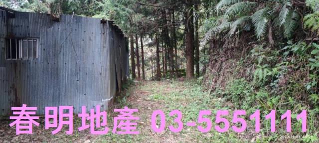 新竹林地-10