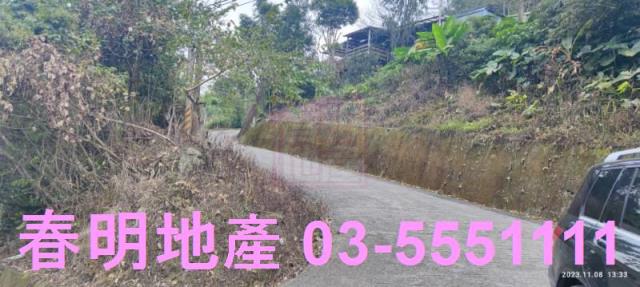 新竹林地-11