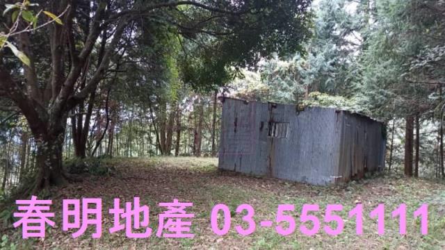 新竹林地-0