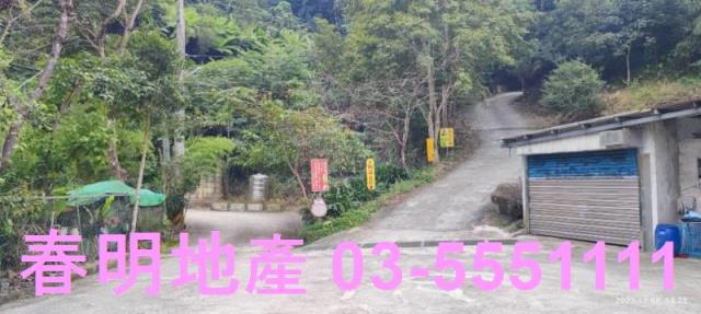 新竹林地-6