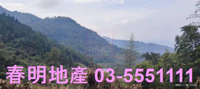 新竹林地-7