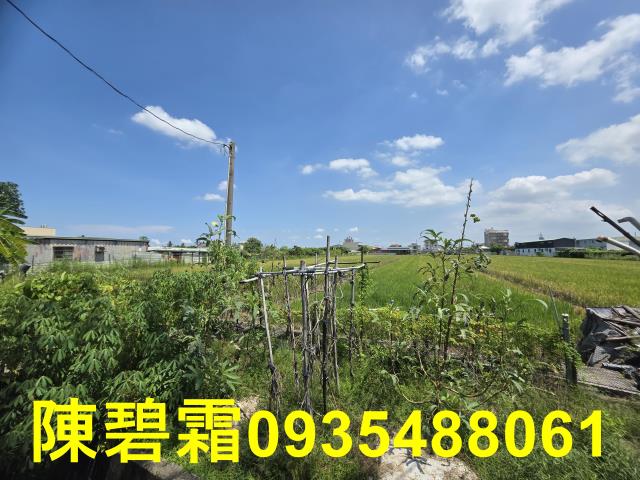 台南歸仁農地-1
