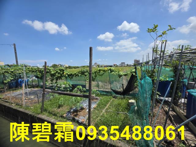 台南歸仁農地-2