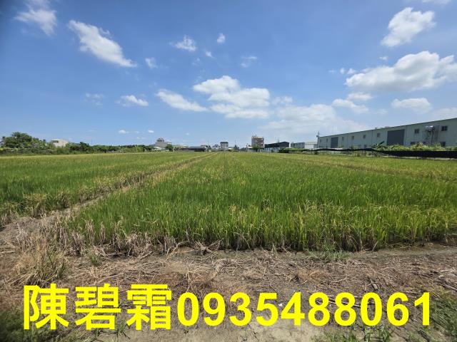 台南歸仁農地-4