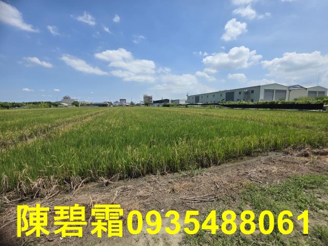 台南歸仁農地-5