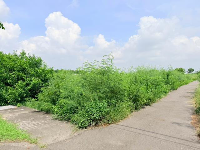 台南七股農地-0