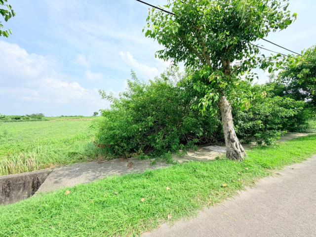 台南七股農地-5