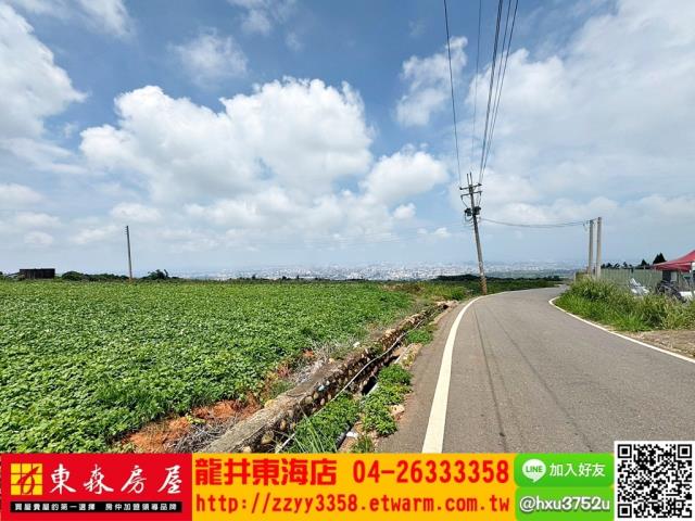 台中沙鹿旱-3