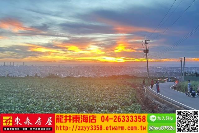 台中沙鹿旱-8