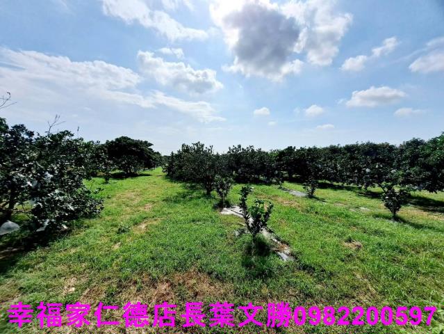 台南佳里農地-14