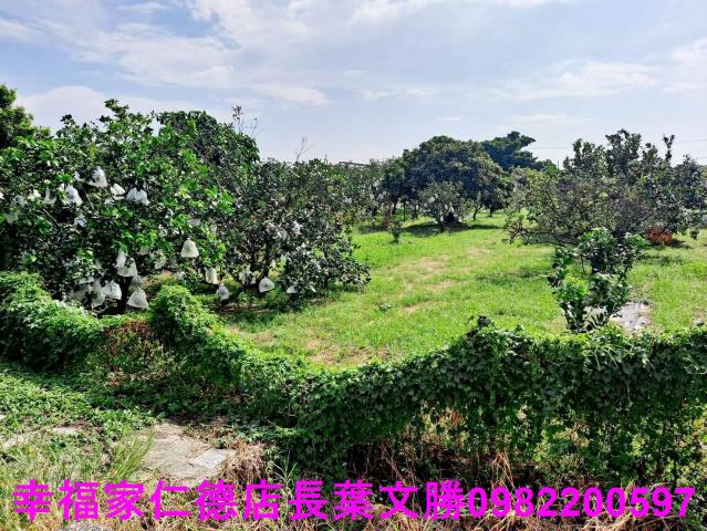 台南佳里農地-0