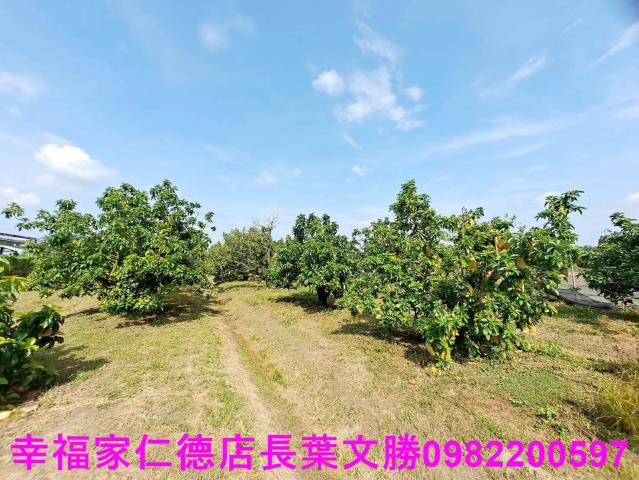 台南佳里農地-2