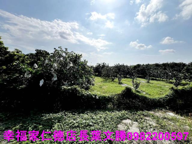 台南佳里農地-4