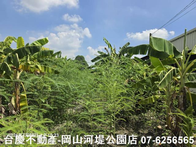 高雄阿蓮農地-5