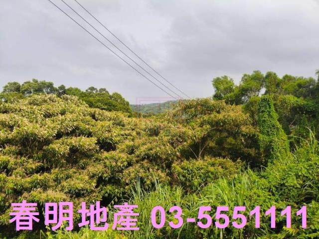 新竹新埔農地-3