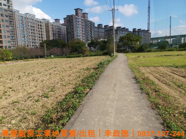 蘆竹農地-2