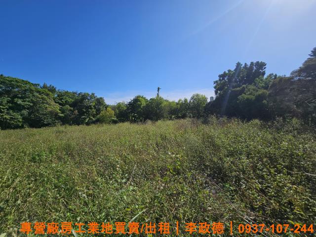 湖口鄉農地買賣湖口鄉農地出售找湖口鄉農地買湖口鄉農地