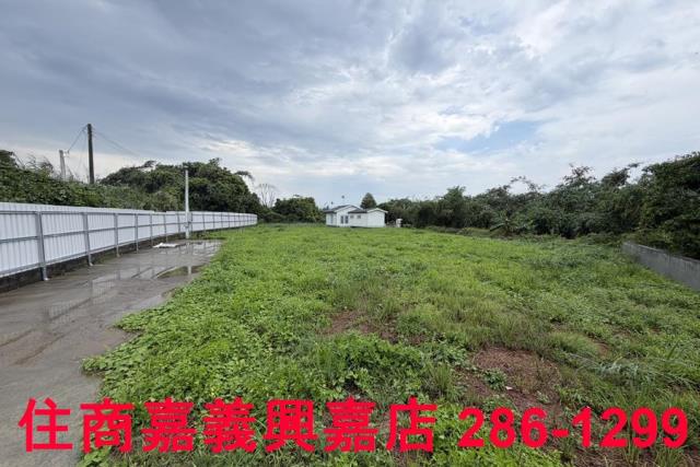大林農地-1