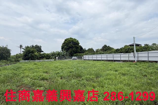 大林農地-2